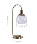 Bent Glass Shade Table Lamp
